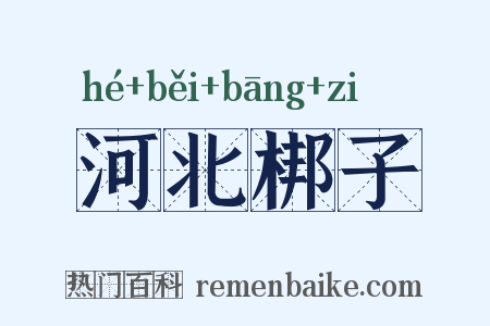 河北梆子是什么意思的图片